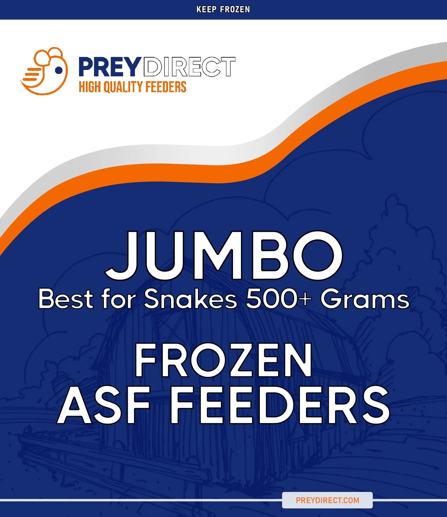 Jumbo ASF Rats (10 Count) PREYDIRECT.COM