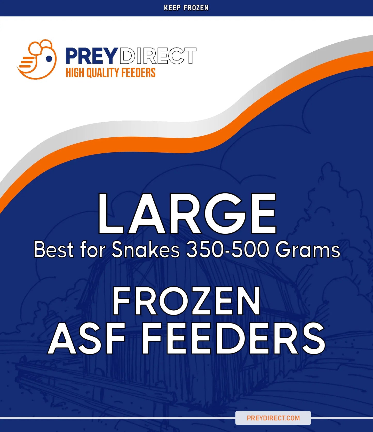 Large ASF Rats (10 Count) PREYDIRECT.COM