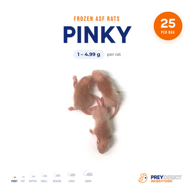 Ratas Pinky ASF congeladas (25 unidades)