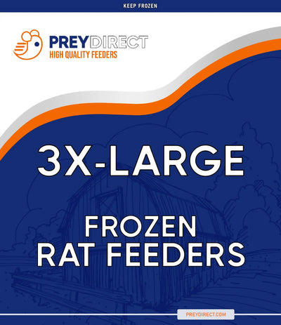 Triple Extra-Large Rats (2 Per Bag) PREYDIRECT.COM