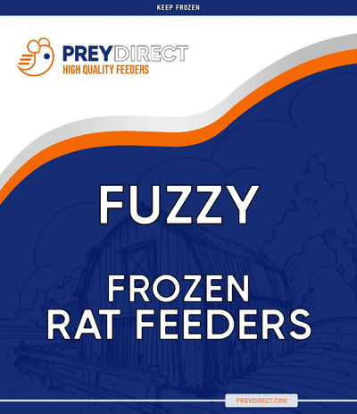 Fuzzy Rats (25 Per Bag) PREYDIRECT.COM