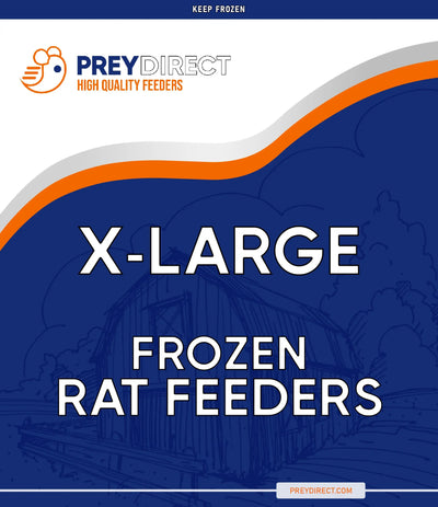 Extra-Large Rats (3 Per Bag) PREYDIRECT.COM