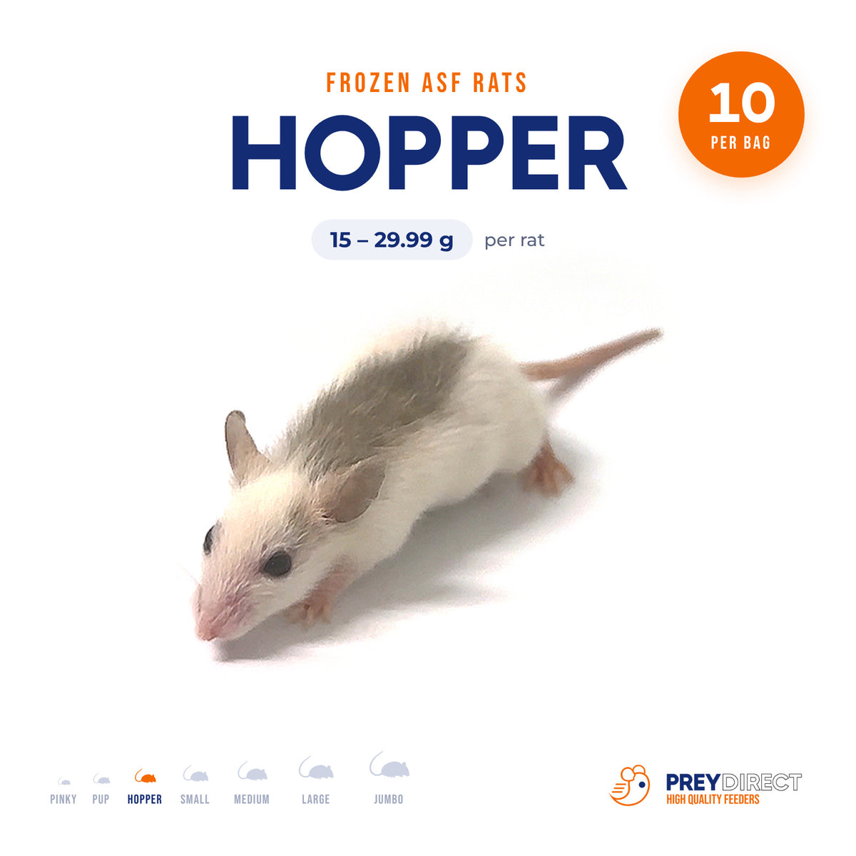 Hopper African Soft Fur Rats (10 Count)