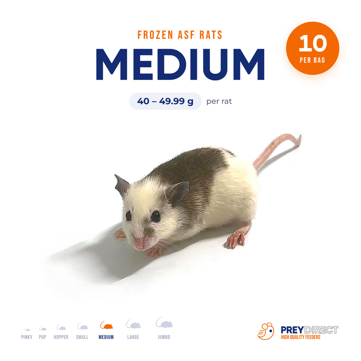 Medium African Soft Fur Rats (10 Count)