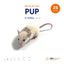 Pup African Soft Fur Rats (25 Count)