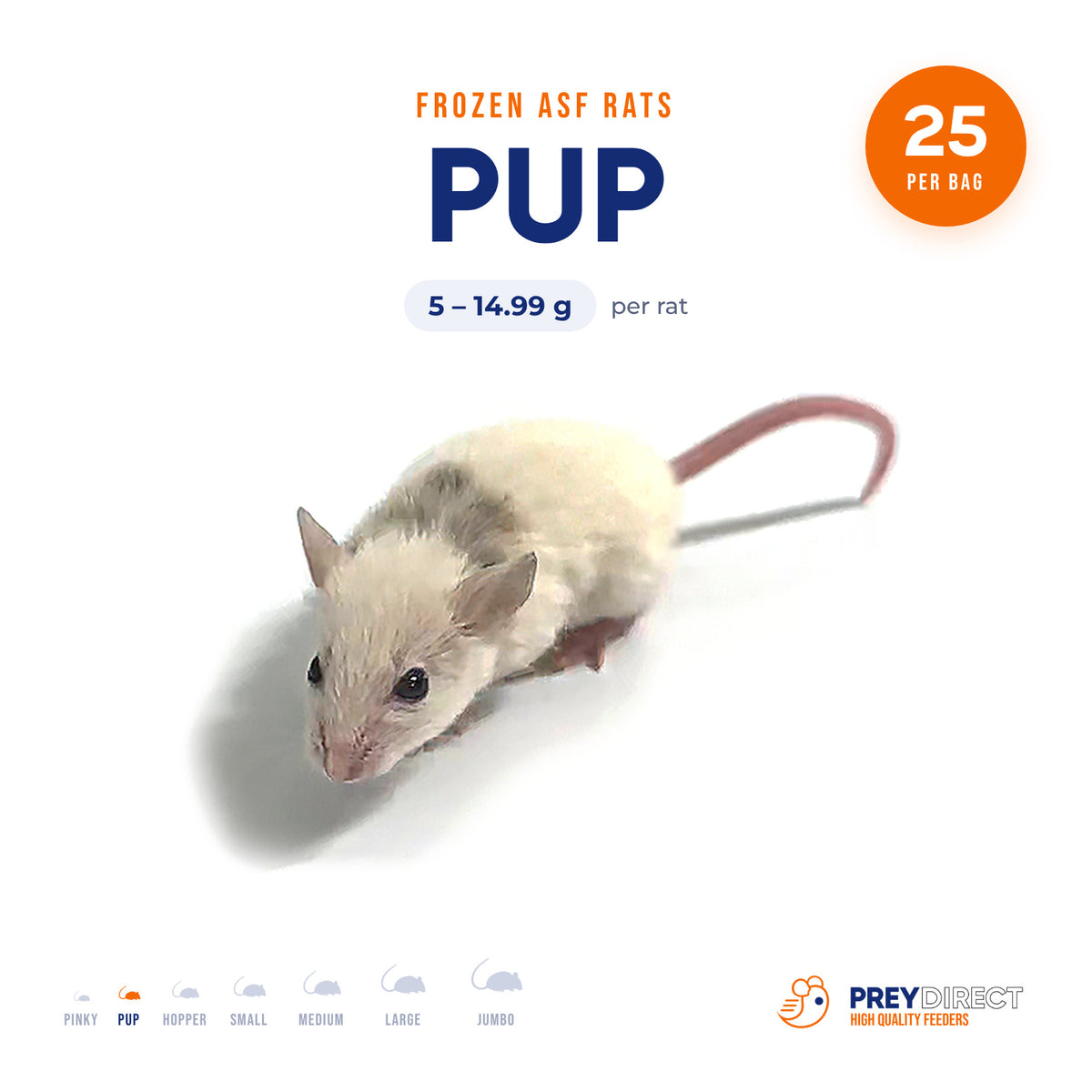 Pup African Soft Fur Rats (25 Count)