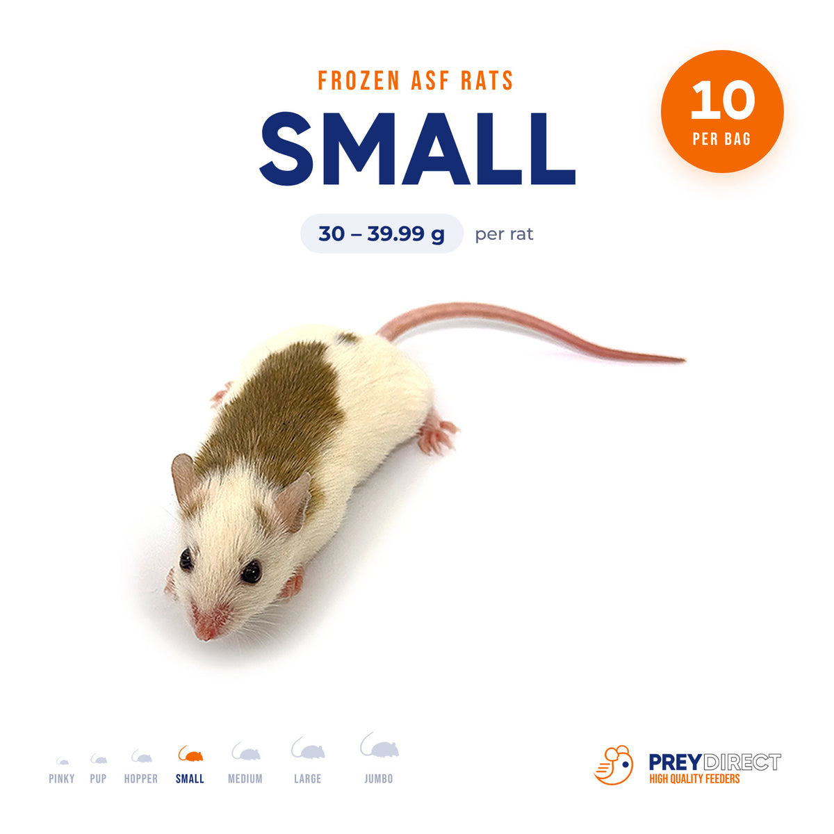 Ratas ASF pequeñas congeladas (10 unidades)